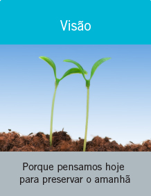 Fornecedor de Sulfnico.