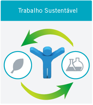 Tensoativos anionicos biodegradveis para diferentes formulaes.